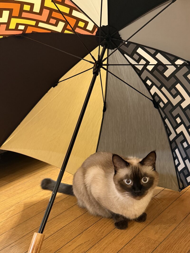 まつりの元の写真