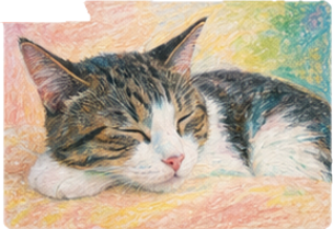オイルパステルで塗った後の猫