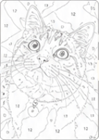 番号付きの線画