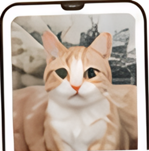 スマホから写真をアップロード